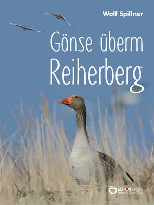 cover image of Gänse überm Reiherberg